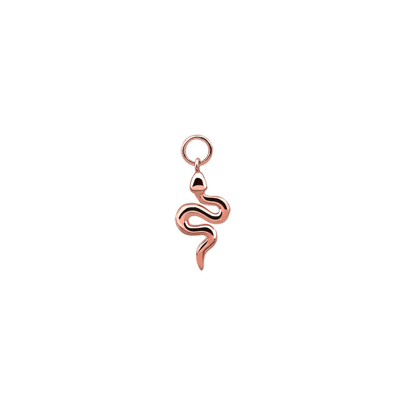 Snake Hoop Charm- 14K Gold